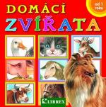Kniha: Domácí zvířata - Dagmar Košková