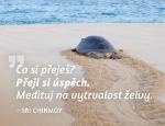 Ostatné: Magnet na lednici Medituj na Úspěch - Sri Chinmoy