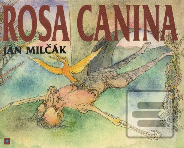 Rosa Canina