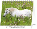 Kalendár stolný: Poézia koní Praktik - stolní kalendář 2015 - Christiane Slawik