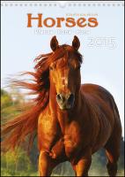 Kalendár nástenný: Horses Koně - nástěnný kalendář 2015