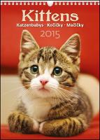 Kalendár nástenný: Kittens Kočičky - nástěnný kalendář 2015
