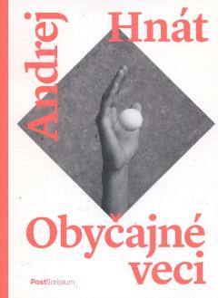 Kniha: Obyčajné veci - Andrej Hnát