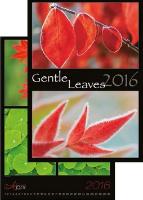 Kalendár nástenný: Gentle Leaves 2016 - nástěnný kalendář