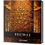 Kniha: Kostnice - Aleš Svoboda