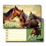 Kalendár stolný: Koně - stolní kalendář 2015 - autor neuvedený