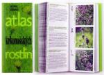 Kniha: Atlas krkonošských rostlin - Jan Štursa, Dvořák Jiří
