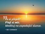 Ostatné: Magnet na lednici Medituj na Mír - Sri Chinmoy