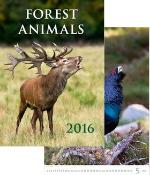 Kalendár nástenný: Forest Animals 2016 - nástěnný kalendář