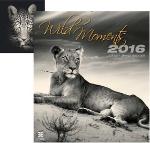 Kalendár nástenný: Wild Moments 2016 - nástěnný kalendář