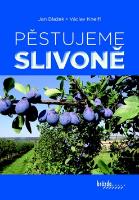 Kniha: Pěstujeme slivoně - Václav Kneifl, Jan Blažek