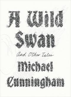 Kniha: Divoká labuť a jiné příběhy - Michael Cunningham