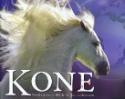 Kniha: Kone (Svojtka) - Pôvod a vlastnosti 100 plemien koní z celého sveta - Moira C., Nikola Jane Swinney Harris