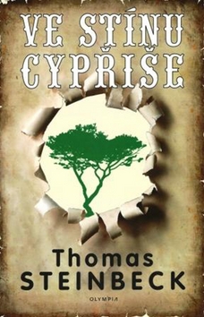 Kniha: Ve stínu cypřiše - Pavel Toufar