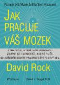 Kniha: Jak pracuje váš mozek - David Rock