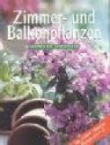 Kniha: Izbové a balkónové rastliny - Kolektív