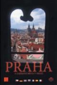 Kniha: Praha a zajímavá místa v okolí - Petr Pelech