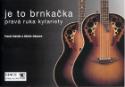 Kniha: Je to brnkačka - pravá ruka kytaristy - Miroslav Ošanec, Pavel Havlík