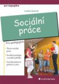 Kniha: Sociální práce - Pro pedagogické obory - Lenka Gulová