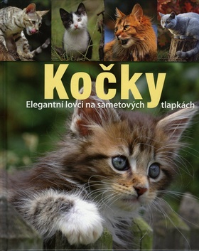 Kniha: Kočky - Elegantní lovci na sametových tlapkách