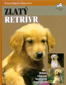 Kniha: Moje první lásky - Ivan Klíma