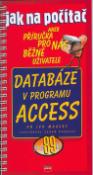 Kniha: Databáze v programu Access - aneb Příručka pro nás běžné uživatele - Ivo Magera