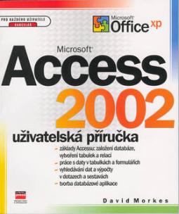 Kniha: Microsoft Access 2002 - uživatelská příručka - David Morkes