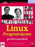 Kniha: Linux - Programujeme profesionálně - Neil Matthew, Richard Stones