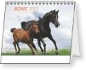 Kalendár: Kone Christiane Slawik - stolní kalendář 2012
