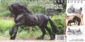 Kalendár: Fríský kůň Das Friesenpferd The Friesian Horse stolní pohlednicový kalendář 2011 - Dalibor Gregor