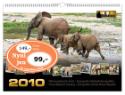 Kalendár: Mýtina pralesních slonů 2010 - nástěnný kalendář - Odhalení
