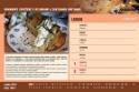 Kalendár: Týdenní kalendář 2011 Bezmasá kuchařka