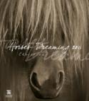 Kalendár: Horses Dreaming 2011 - nástěnný kalendář - Chrisiane Slawik