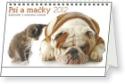 Kalendár: Psy a mačky kalendar so zvieracími meny - stolní kalendář 2012