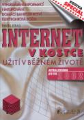 Kniha: Internet v kostce aktualizováno pro rok 2002 - Užití v běžném životě - Pavel Kras