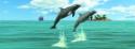 Ostatné: Záložka Úžaska Skákající delfíni