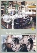 Kniha: Tepelné turbíny a turbokompresory 1 základy teorie a výpočtů - Dagmar  Pavlů