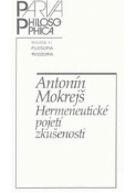 Kniha: Hermeneutické pojetí zkušenosti - Antonín Mokrejš