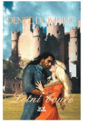 Kniha: Letní bouře - Denise Domning