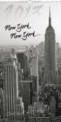 Kalendár: New York Jakub Kasl - nástěnný kalendář 2013
