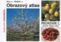 Kniha: Obrazový atlas peckovin 1. - Slivoně, třešně, višně - Josef Sus, Jan Blažek