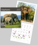 Kalendár: Elephants - nástěnný kalendář 2013