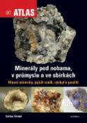 Kniha: Minerály pod nohama, v průmyslu a ve sbírkách - Dalibor Velebil