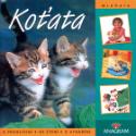 Kniha: Koťata - K prohlížení, ke čtení, k vyrábění