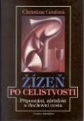 Kniha: Žízeň po celistvosti - Připoutání, závisl.a duch.ces. - Christina Grofová