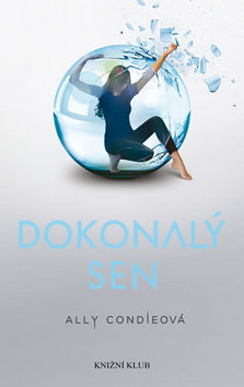 Kniha: Dokonalý sen - Dokonalý pár 2 - Ally Condieová