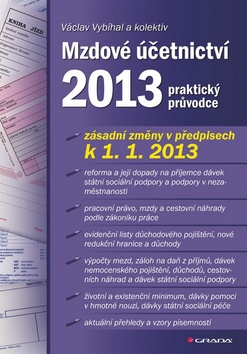 Kniha: Mzdové účetnictví 2013 - praktický průvodce - Václav Vybíhal