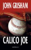 Kniha : Calico Joe