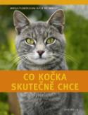 Kniha: Co kočka skutečně chce - Mircea Pfleidererov; Brigit Rödderová
