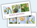 Kalendár: Floral Emotions 2014 - nástěnný kalendář - Exclusive Edition